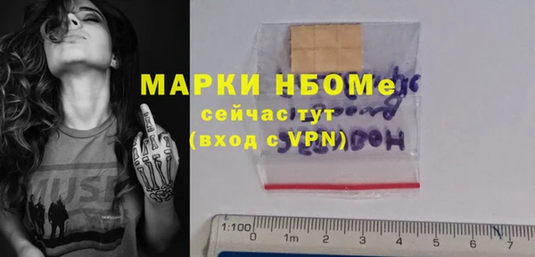 индика Новосибирск