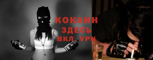 трава Инсар