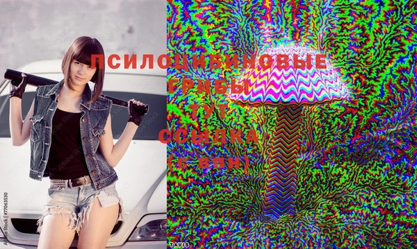 метадон Кинешма