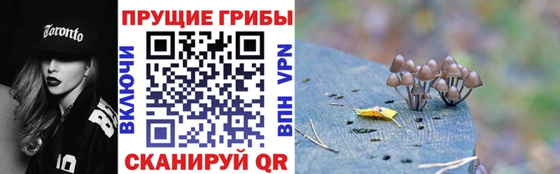 Псилоцибиновые грибы прущие грибы  Купить закладки  Куса 